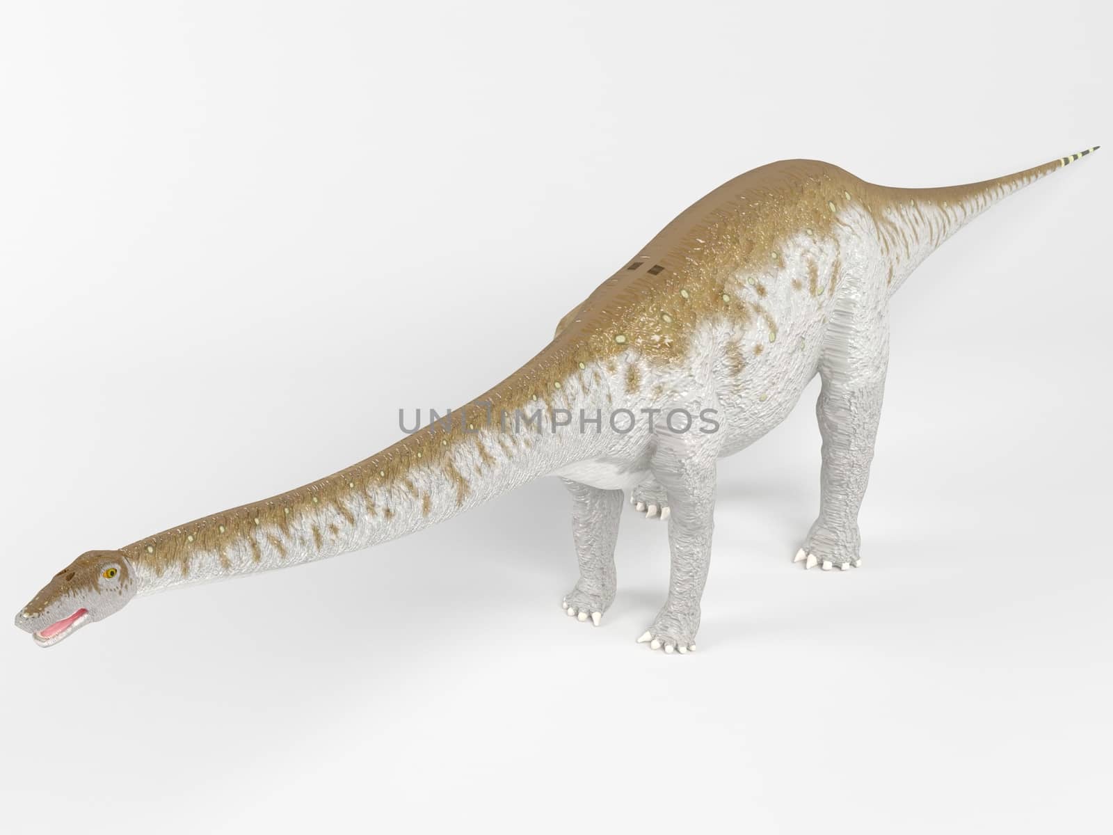 3d render of a Dinosaur inside a white stage by fares139