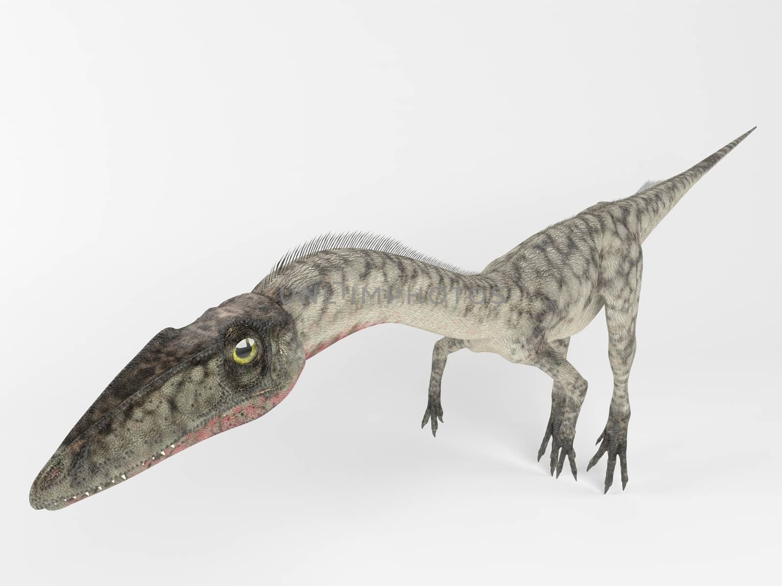 3d render depicting a dinosaur, which lived during the Cretaceous period, isolated on white.