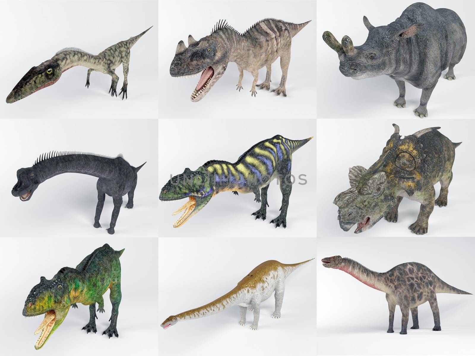 3D collections of many Dinosaur with different kinds and colors in one image