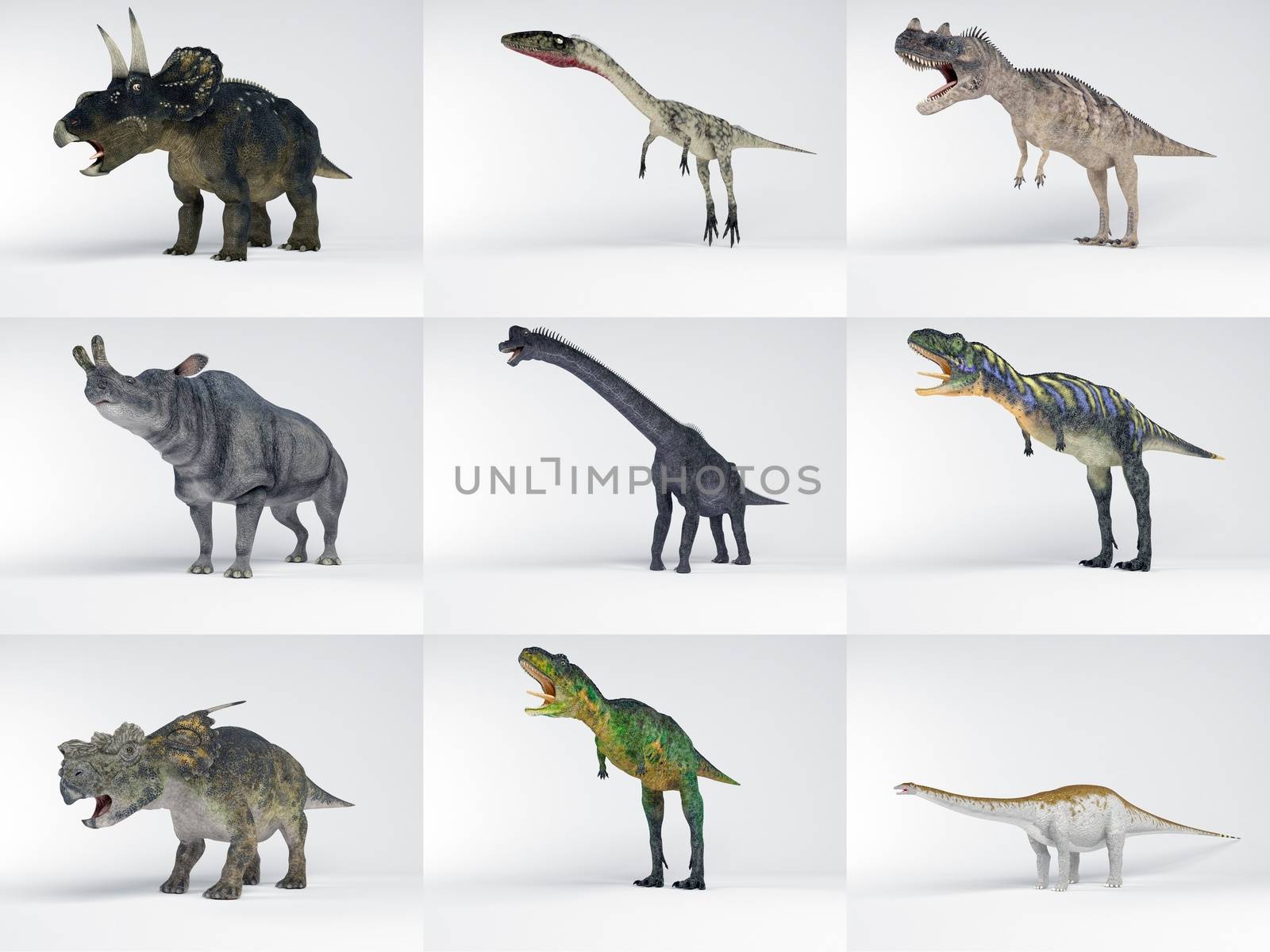 3D collections of many Dinosaur with different kinds and colors in one image