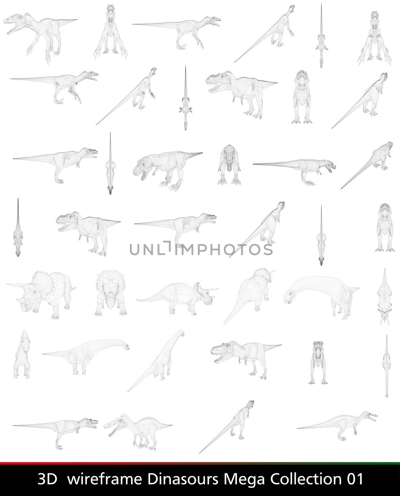3d wireframe dinasour collection isolated on white background
