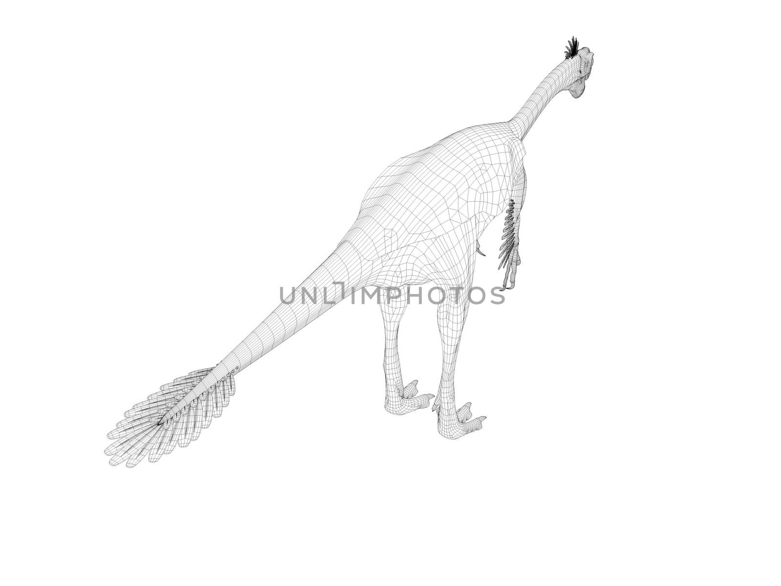 3d dinosaur wireframe (lines) isolated on a white back ground