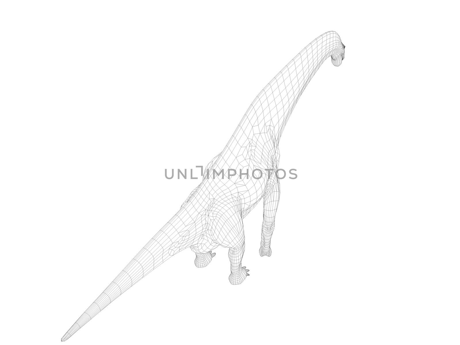 3d dinosaur wireframe (lines) isolated on a white back ground