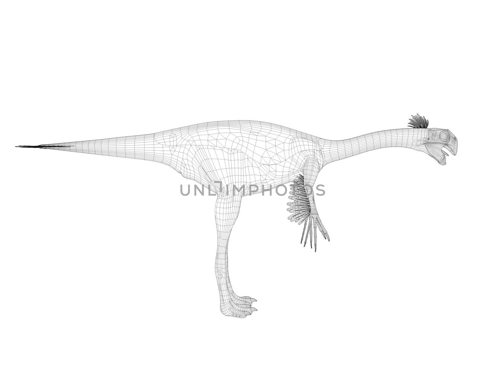 3d dinosaur wireframe (lines) isolated on a white back ground