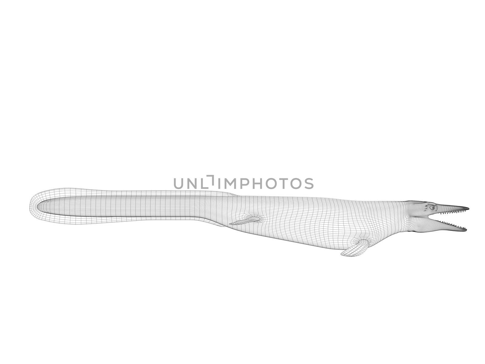 3d dinosaur wireframe (lines) isolated on a white back ground