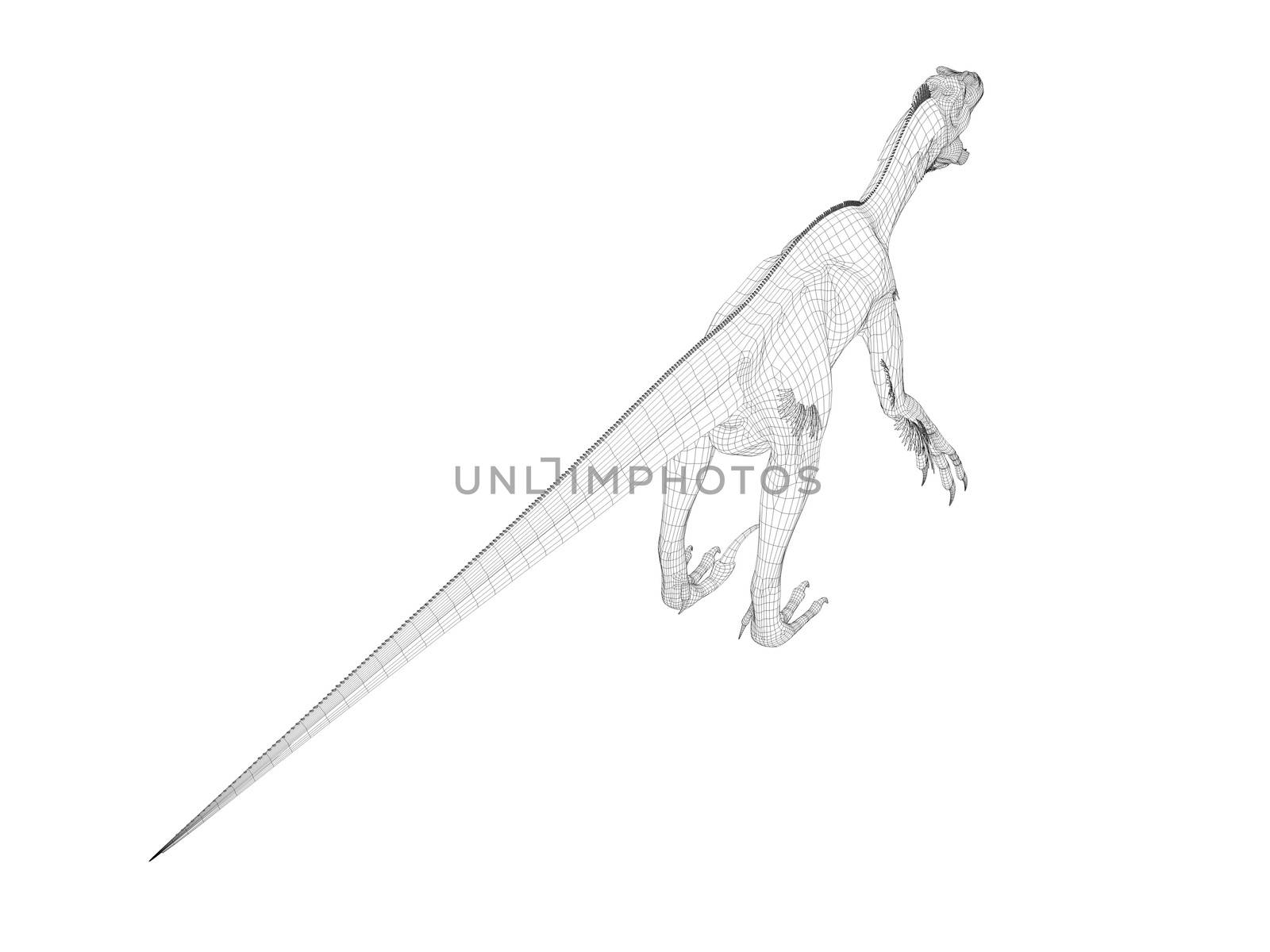 3d dinosaur wireframe (lines) isolated on a white back ground