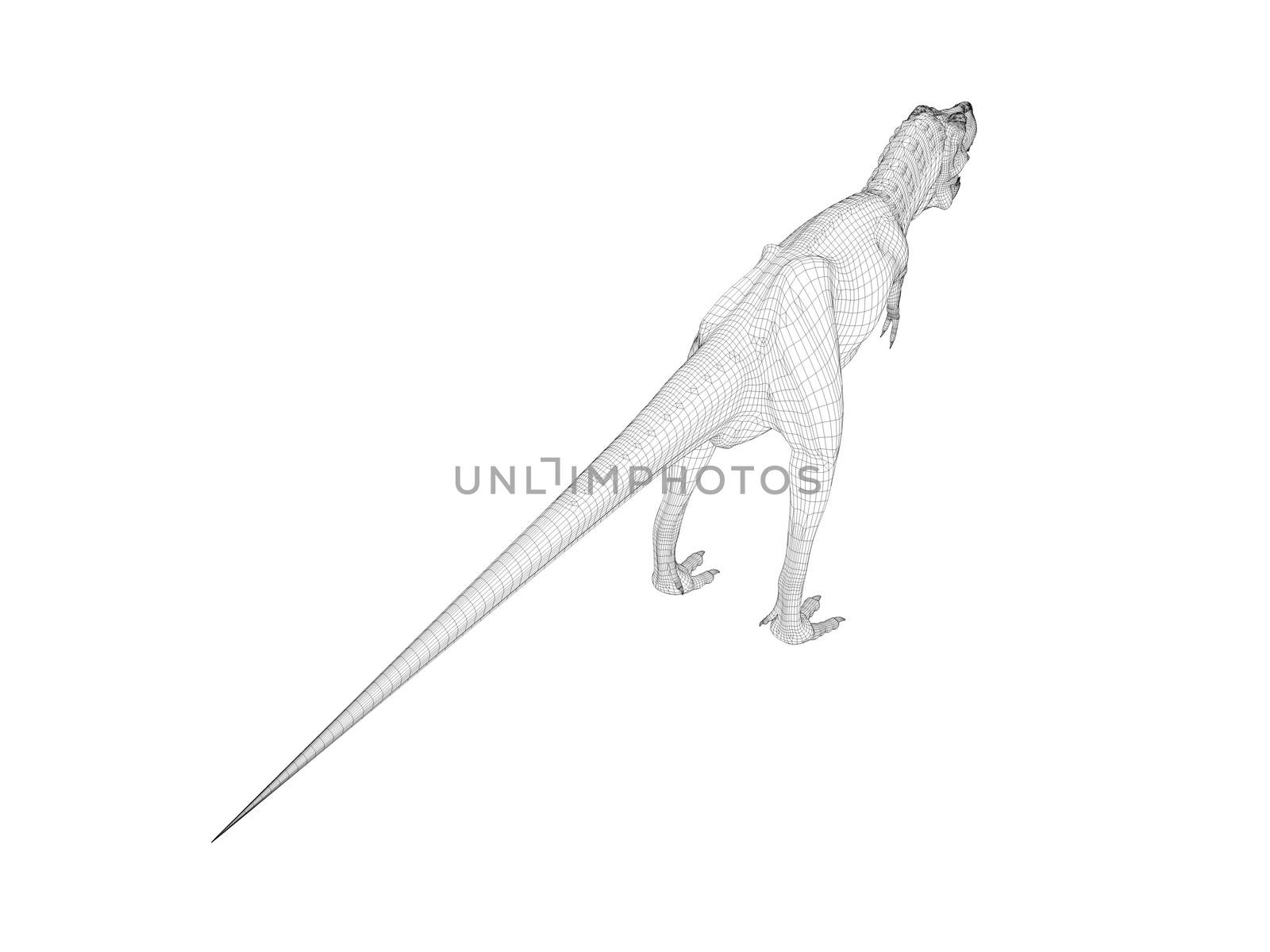 3d dinosaur wireframe (lines) isolated on a white back ground