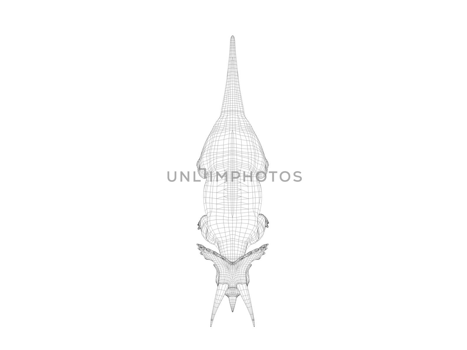 3d dinosaur wireframe (lines) isolated on a white back ground