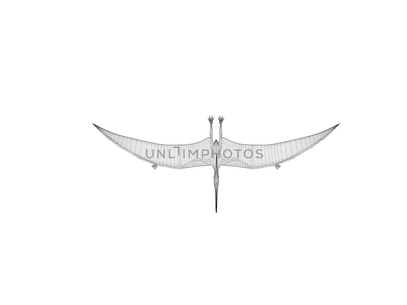 3d dinosaur wireframe (lines) isolated on a white back ground