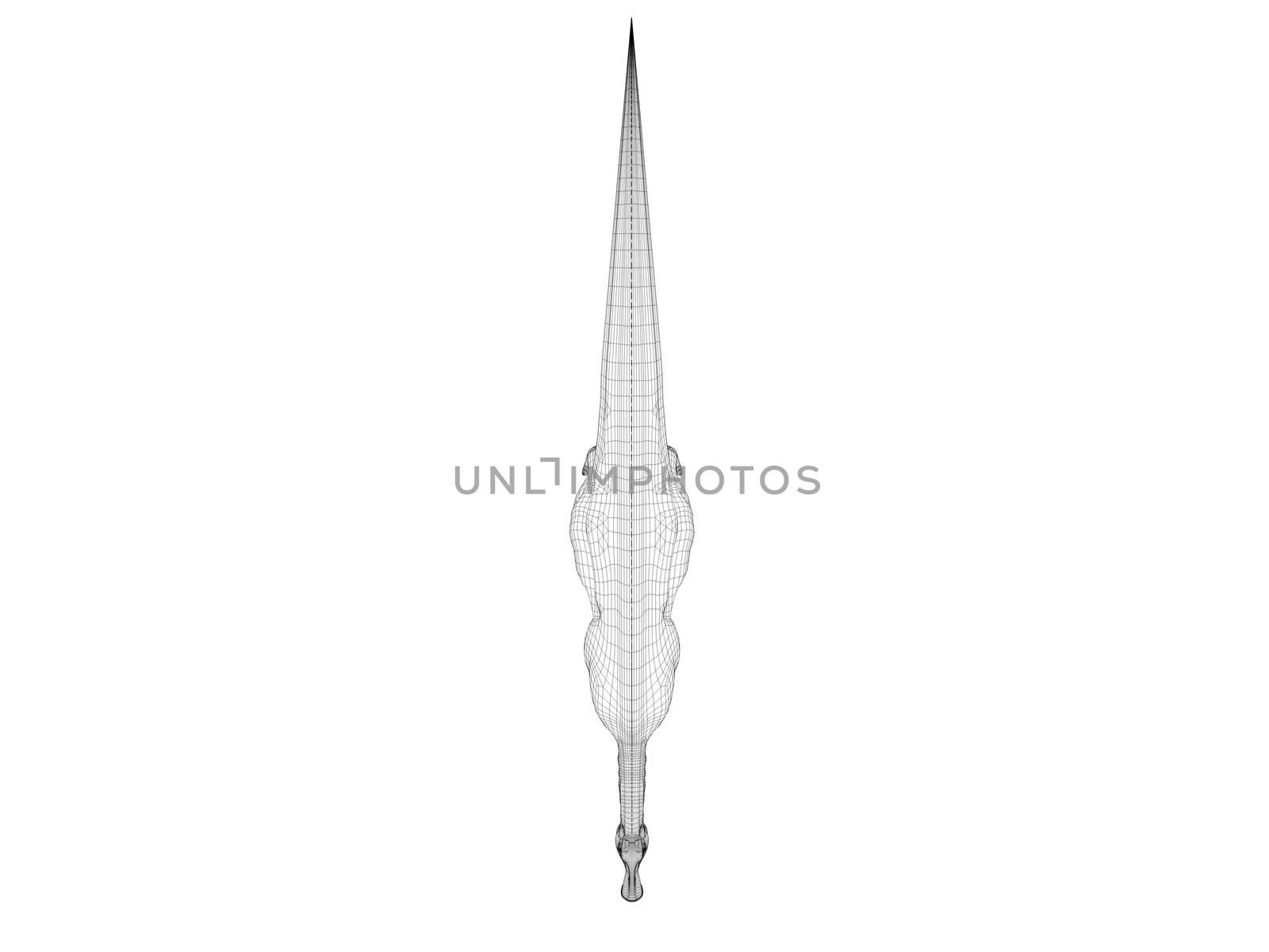 3d dinosaur wireframe (lines) isolated on a white back ground