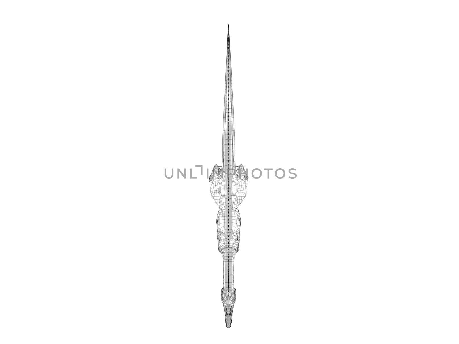 3d dinosaur wireframe (lines) isolated on a white back ground