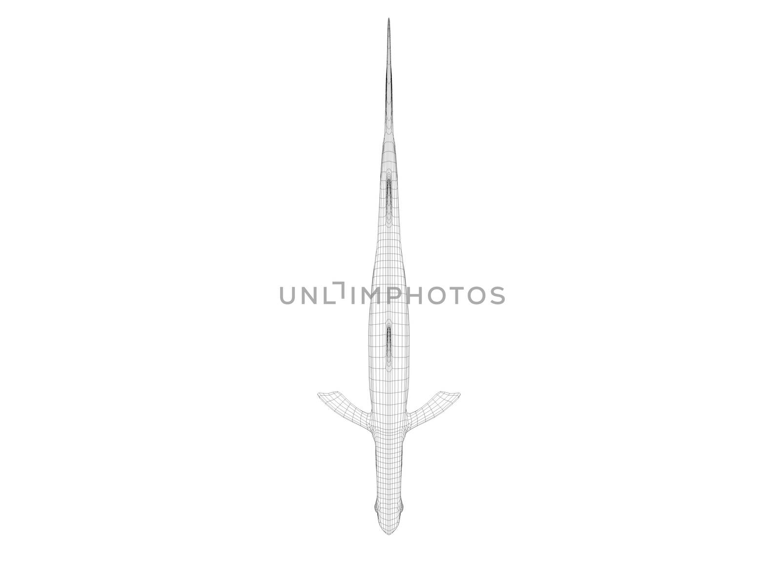 3d dinosaur wireframe (lines) isolated on a white back ground