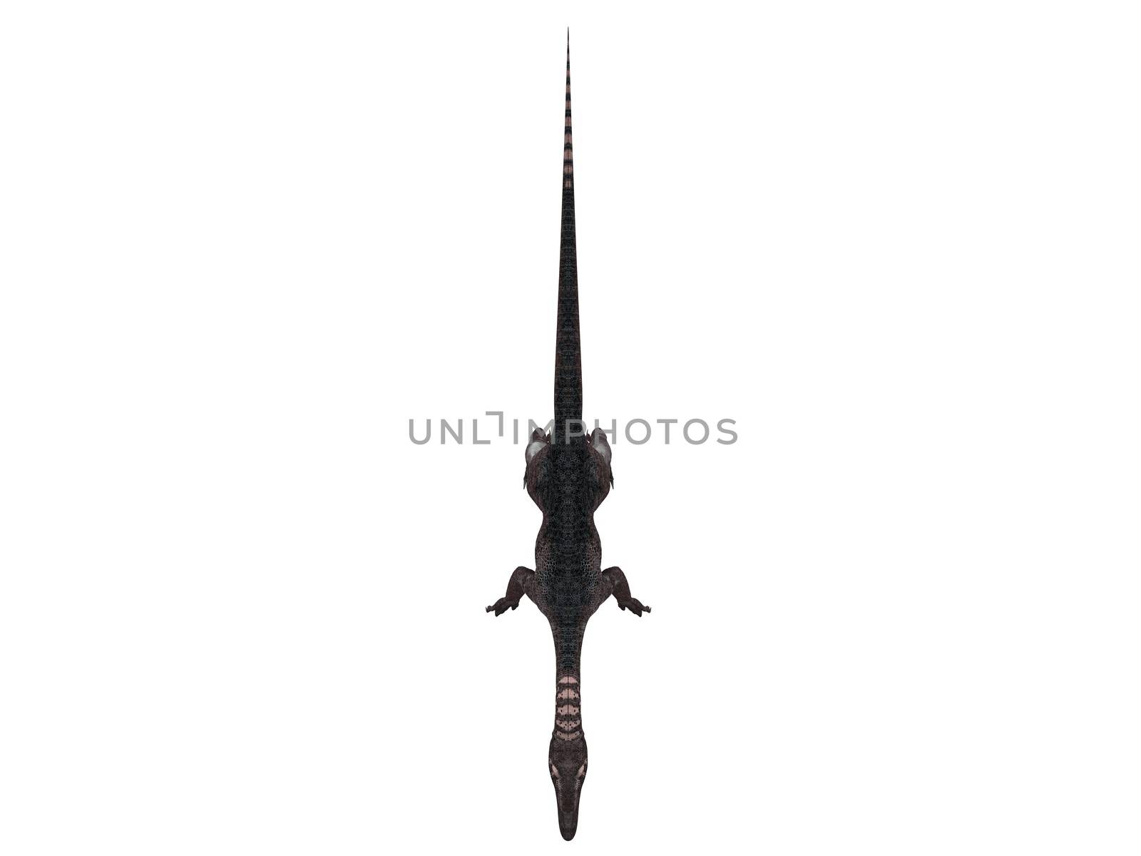 3d render depicting a dinosaur, which lived during the Cretaceous period, isolated on white.