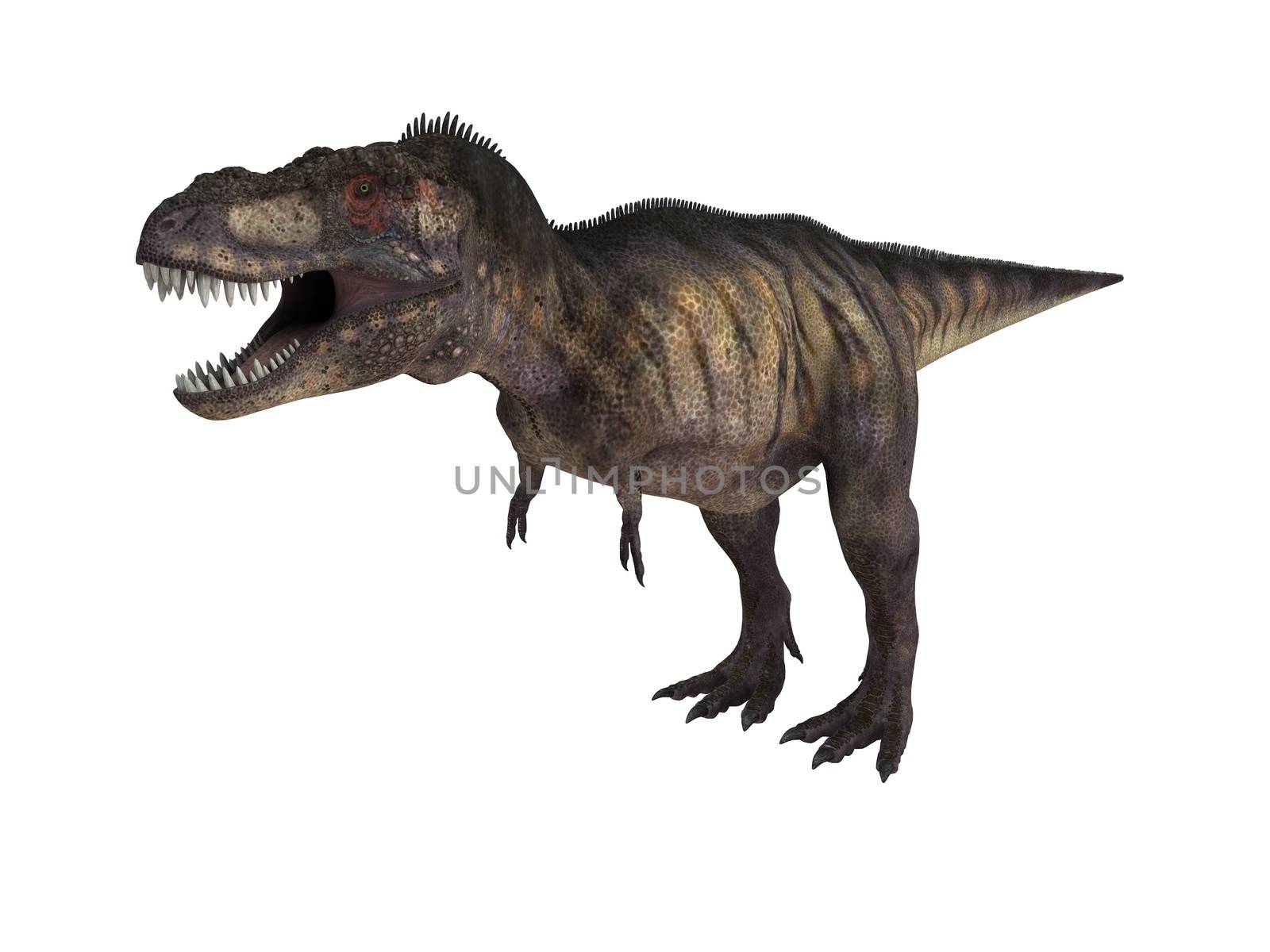 3d render depicting a dinosaur, which lived during the Cretaceous period, isolated on white.