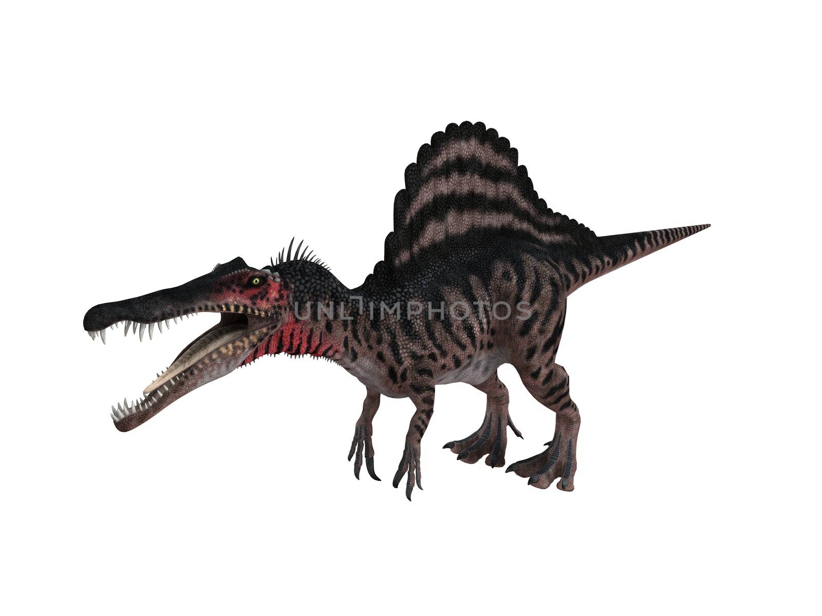 3d render depicting a dinosaur, which lived during the Cretaceous period, isolated on white.