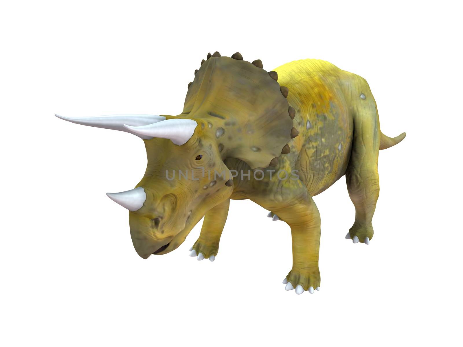 3d render of a Dinosaur inside a white stage by fares139