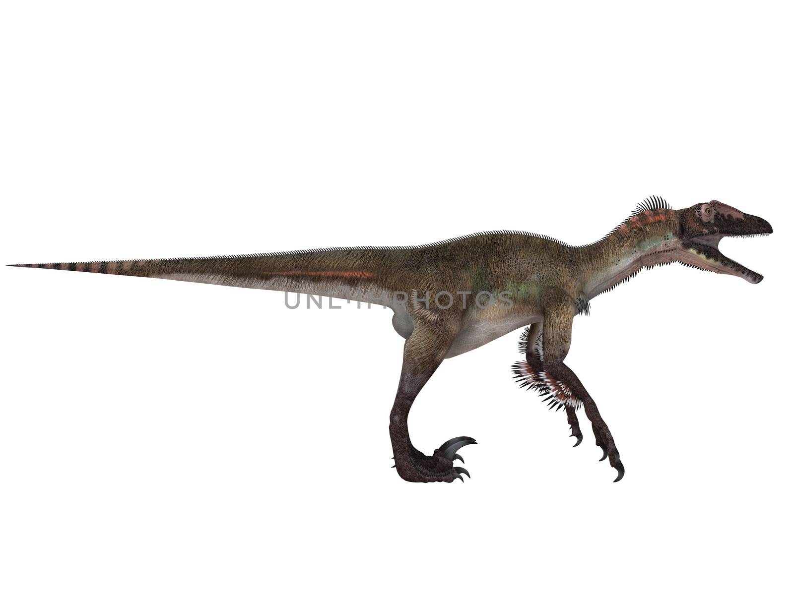 3d render of a Dinosaur inside a white stage by fares139