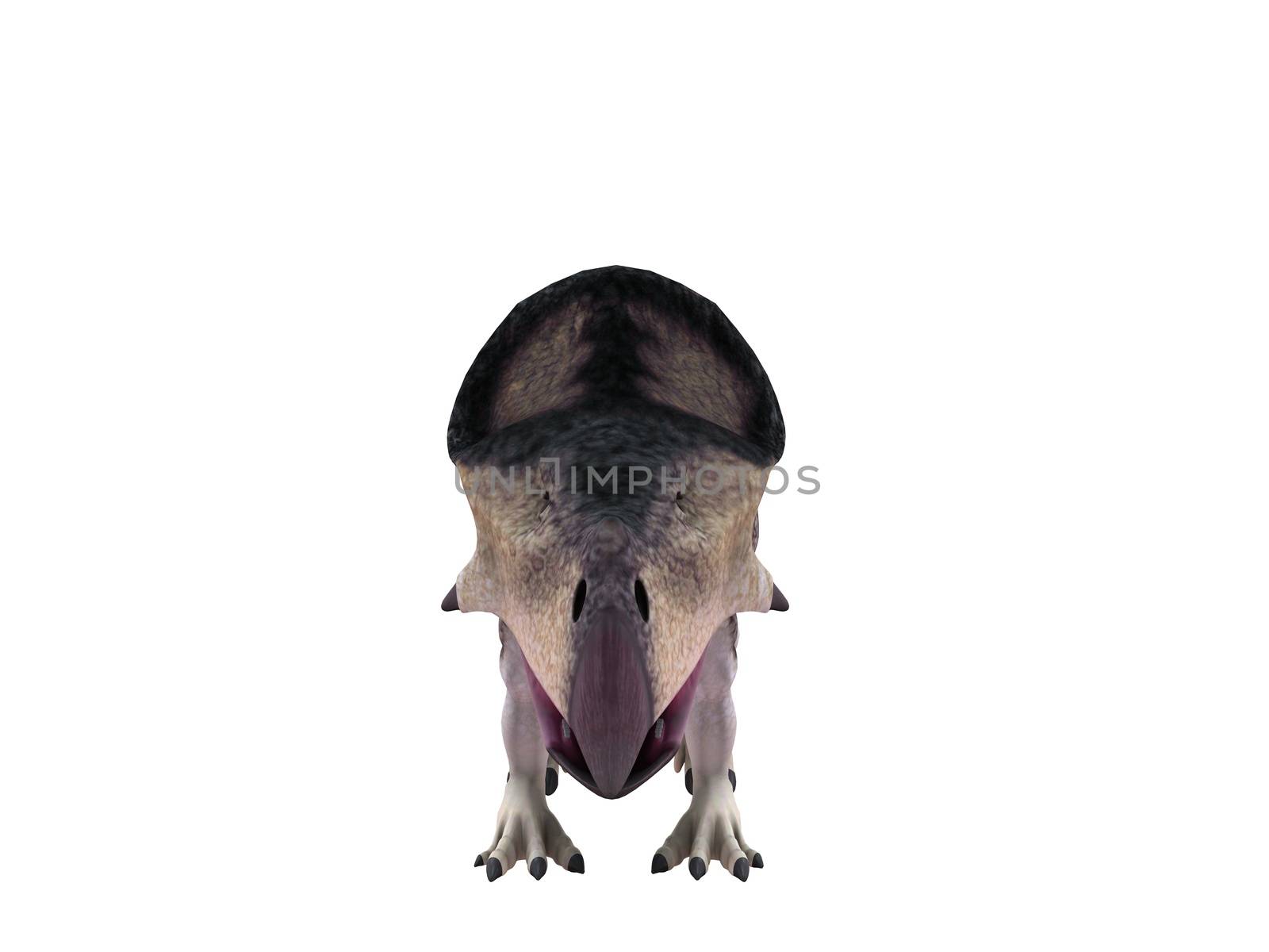 3d render depicting a dinosaur, which lived during the Cretaceous period, isolated on white.