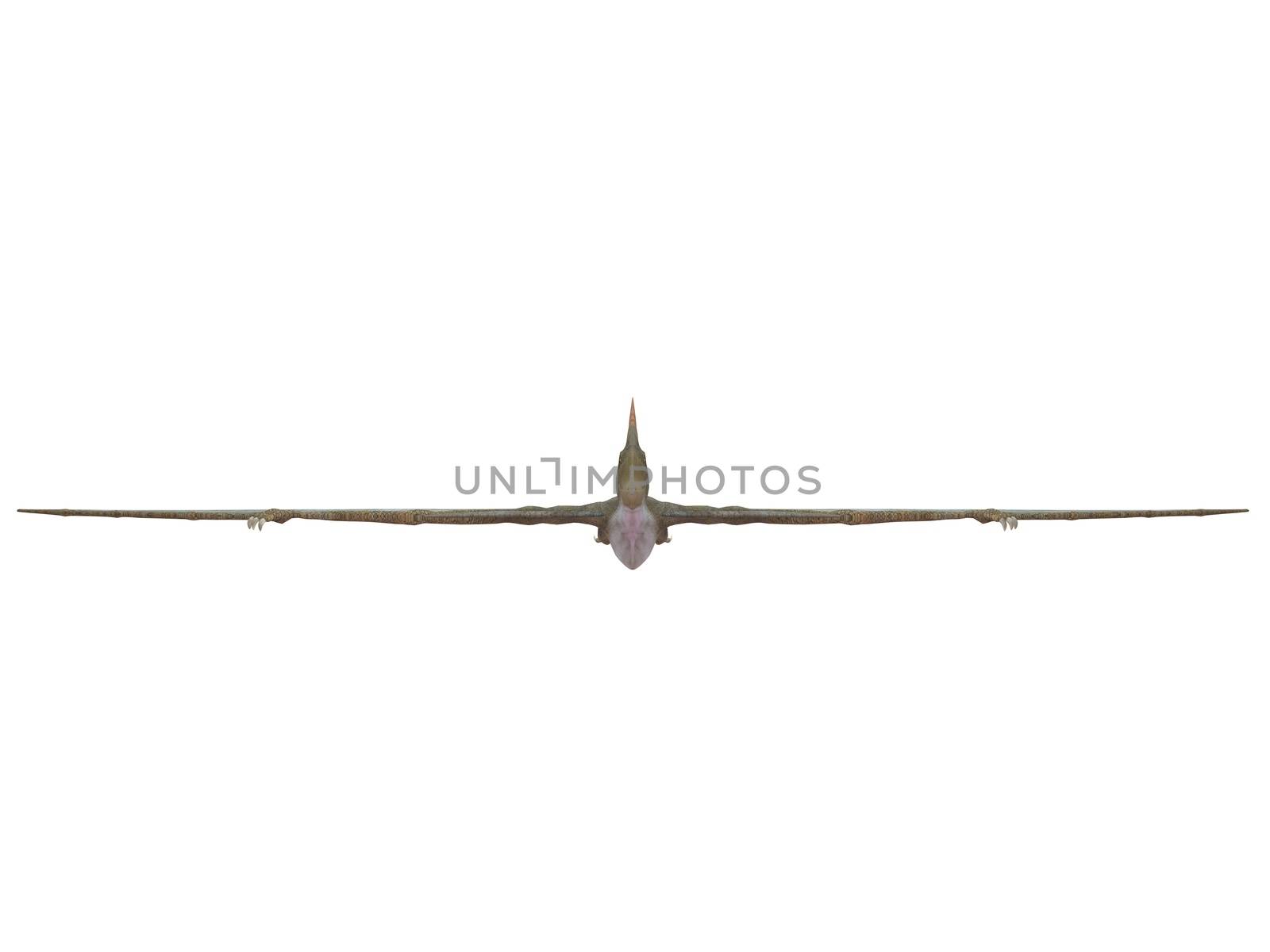 3d render depicting a dinosaur, which lived during the Cretaceous period, isolated on white.