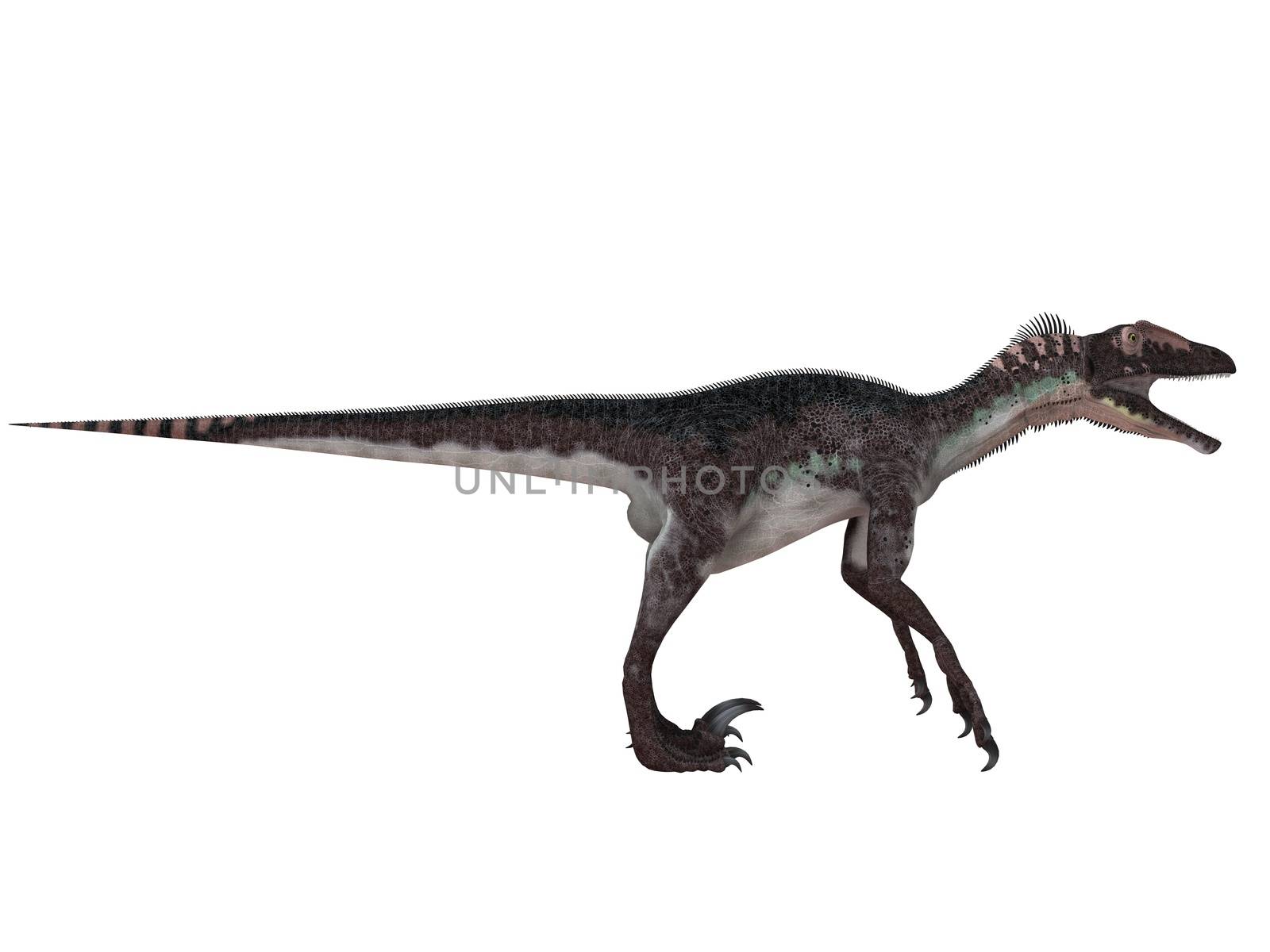 3d render depicting a dinosaur, which lived during the Cretaceous period, isolated on white.