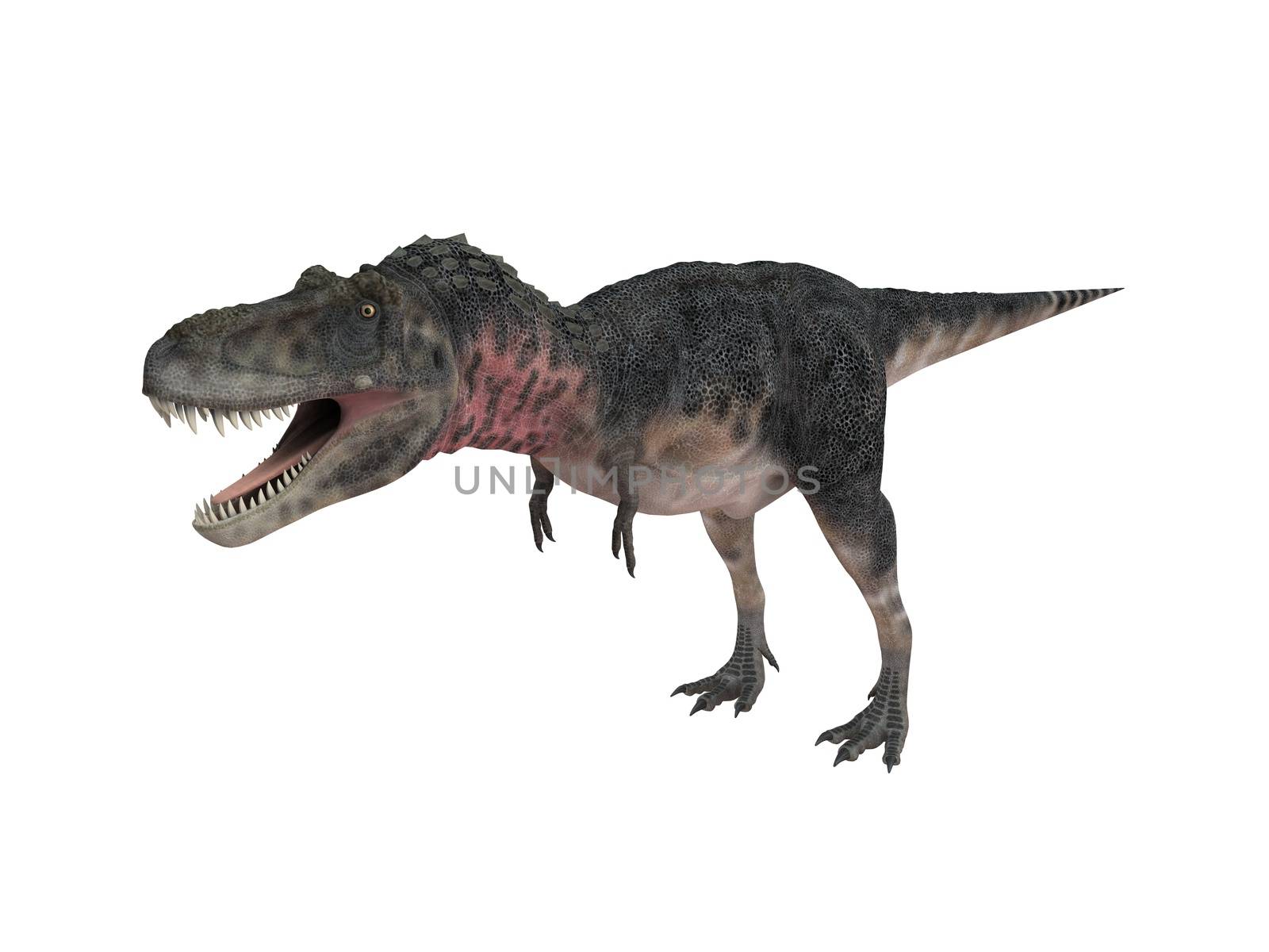 3d render depicting a dinosaur, which lived during the Cretaceous period, isolated on white.