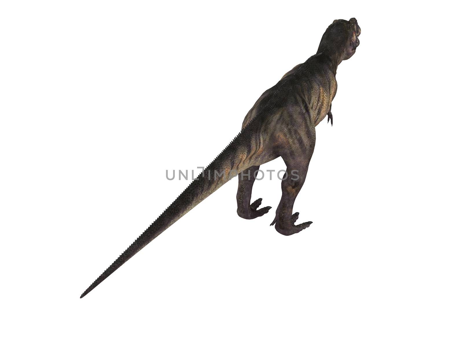 3d render depicting a dinosaur, which lived during the Cretaceous period, isolated on white.