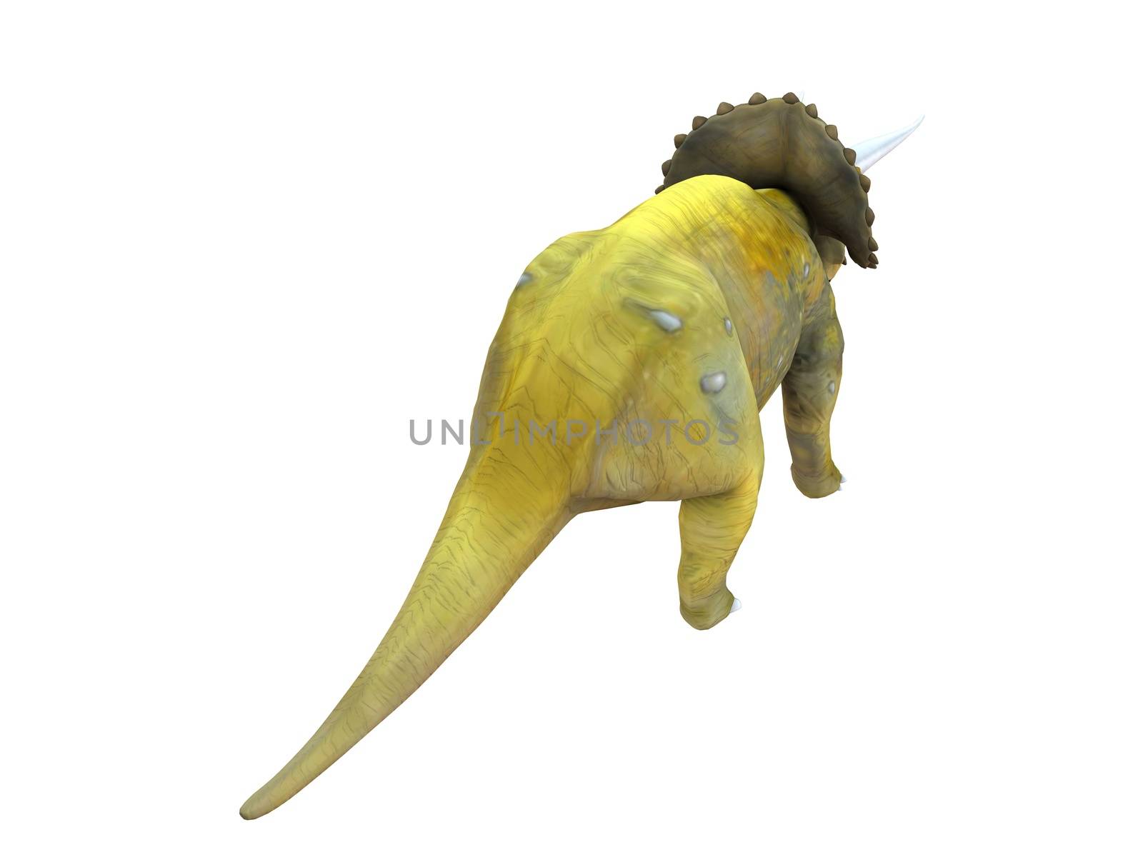 3d render of a Dinosaur inside a white stage by fares139
