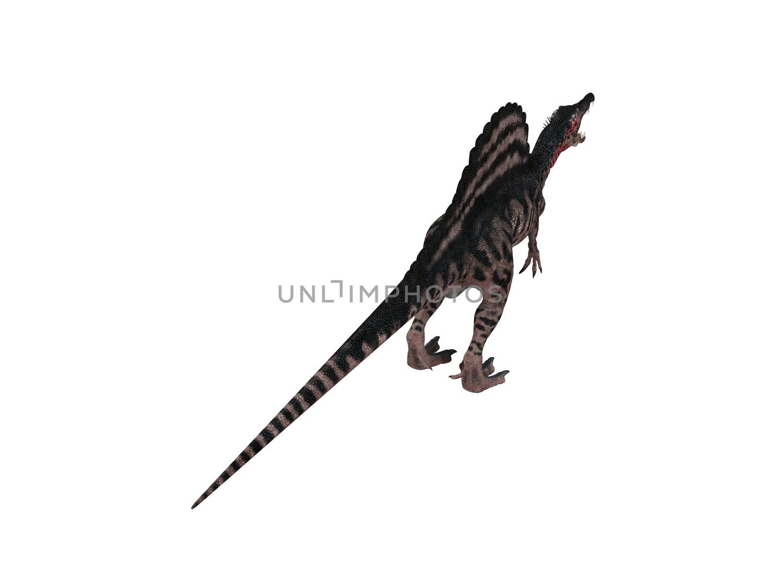 3d render depicting a dinosaur, which lived during the Cretaceous period, isolated on white.