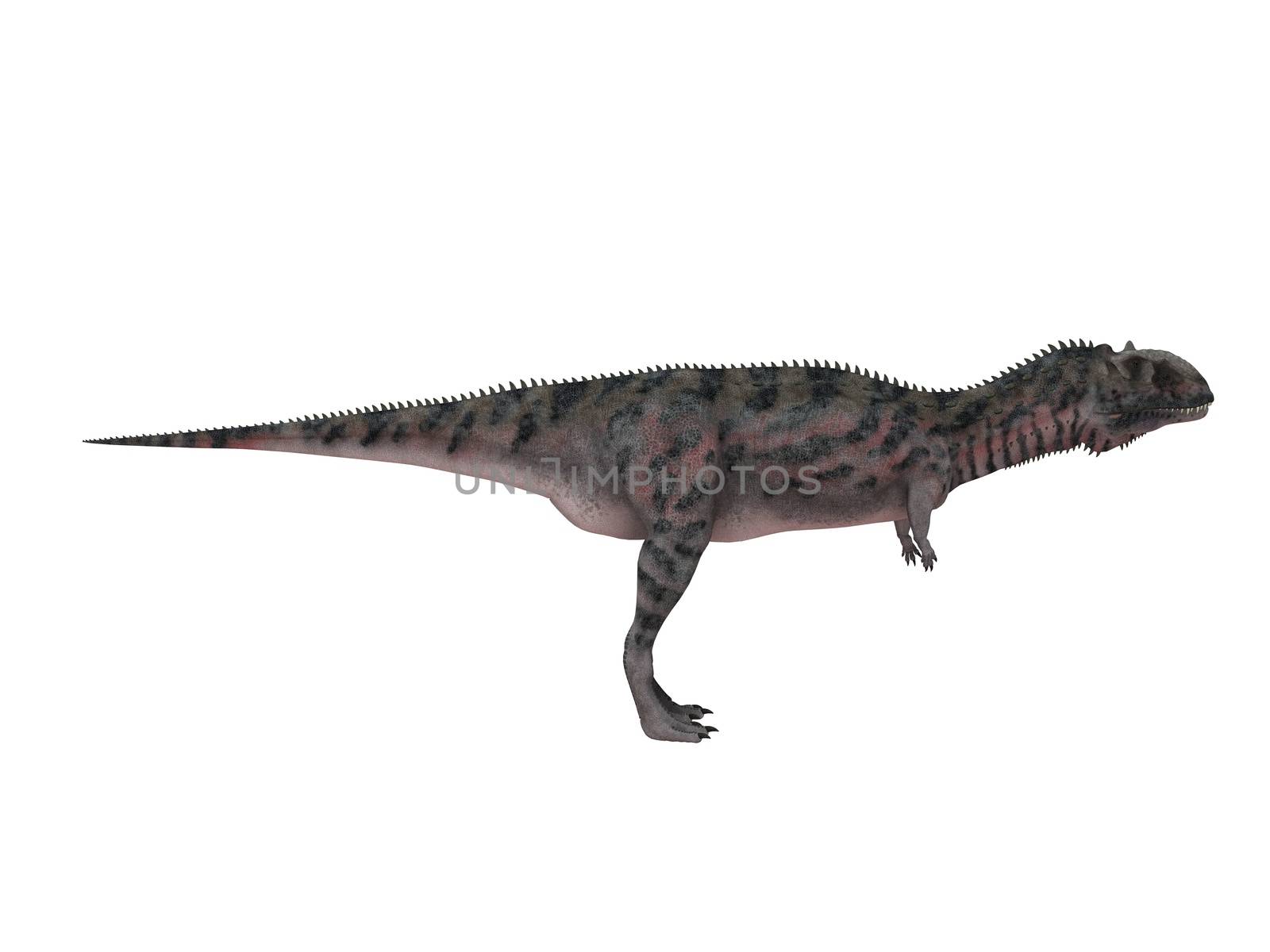 3d render depicting a dinosaur, which lived during the Cretaceous period, isolated on white.