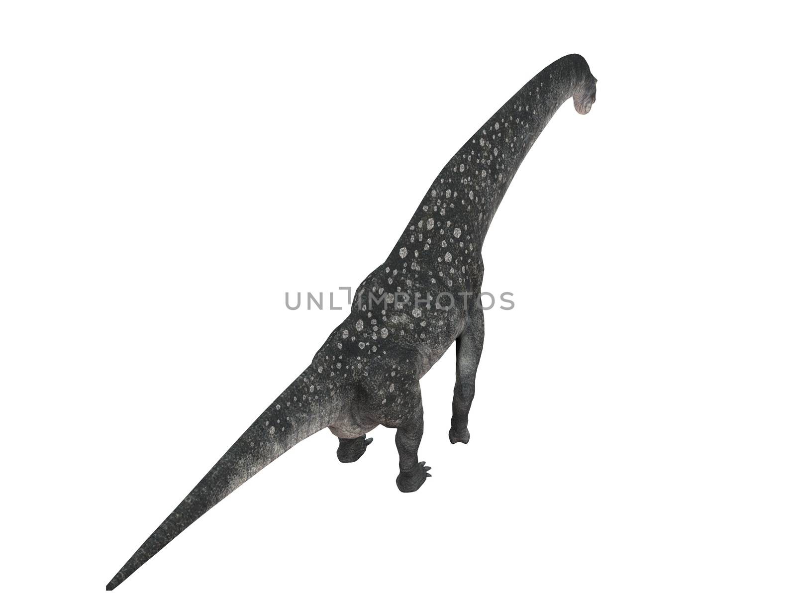 3d render of a Dinosaur inside a white stage by fares139