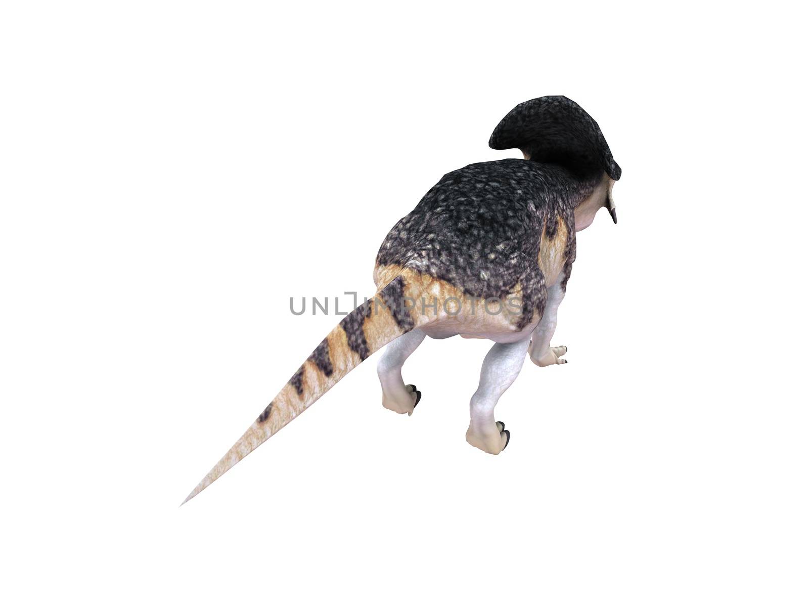 3d render depicting a dinosaur, which lived during the Cretaceous period, isolated on white.