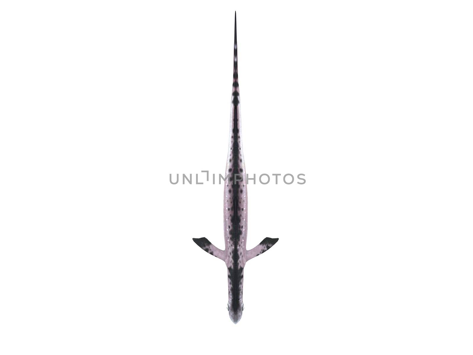 3d render depicting a dinosaur, which lived during the Cretaceous period, isolated on white.