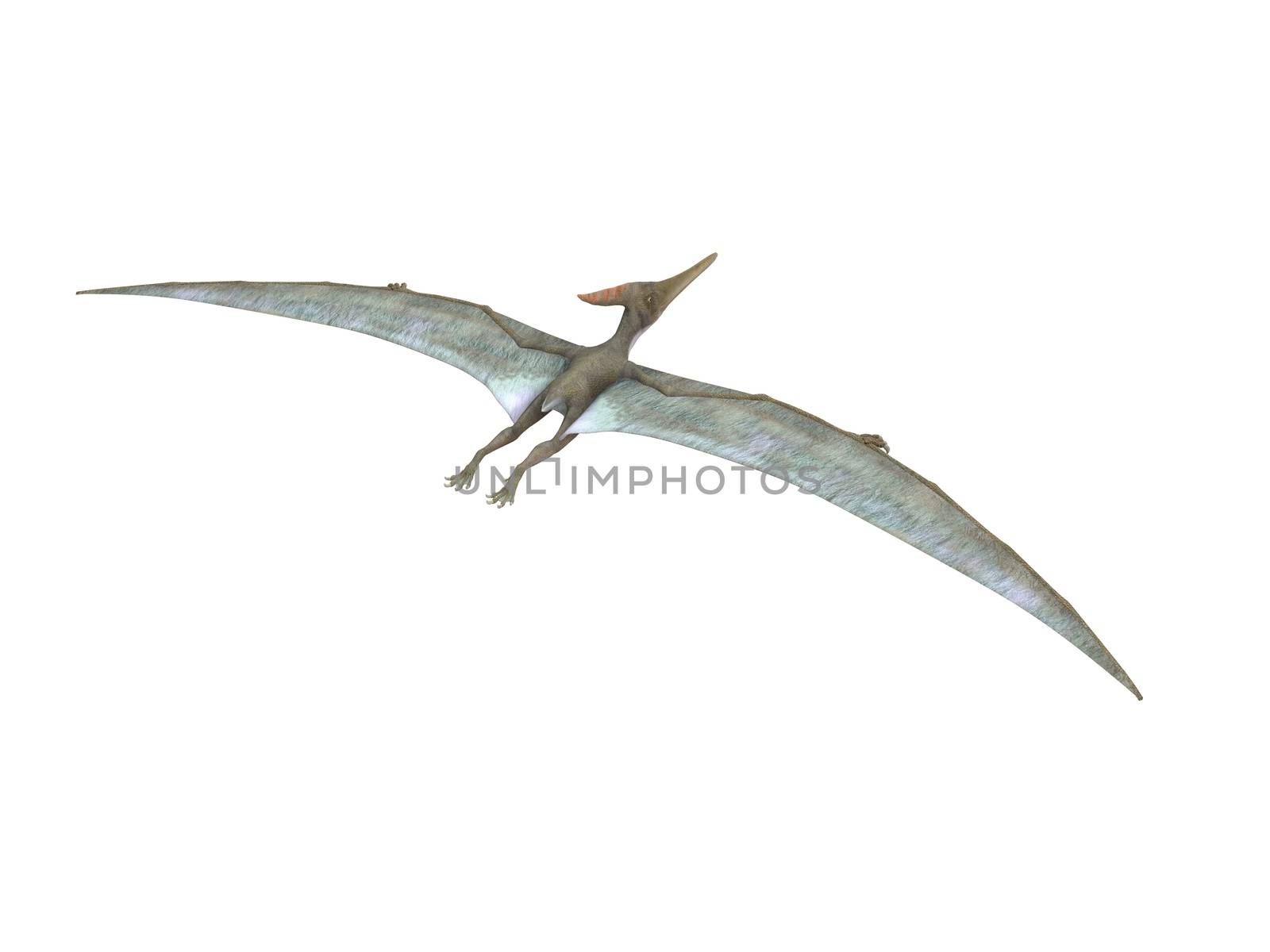 3d render depicting a dinosaur, which lived during the Cretaceous period, isolated on white.