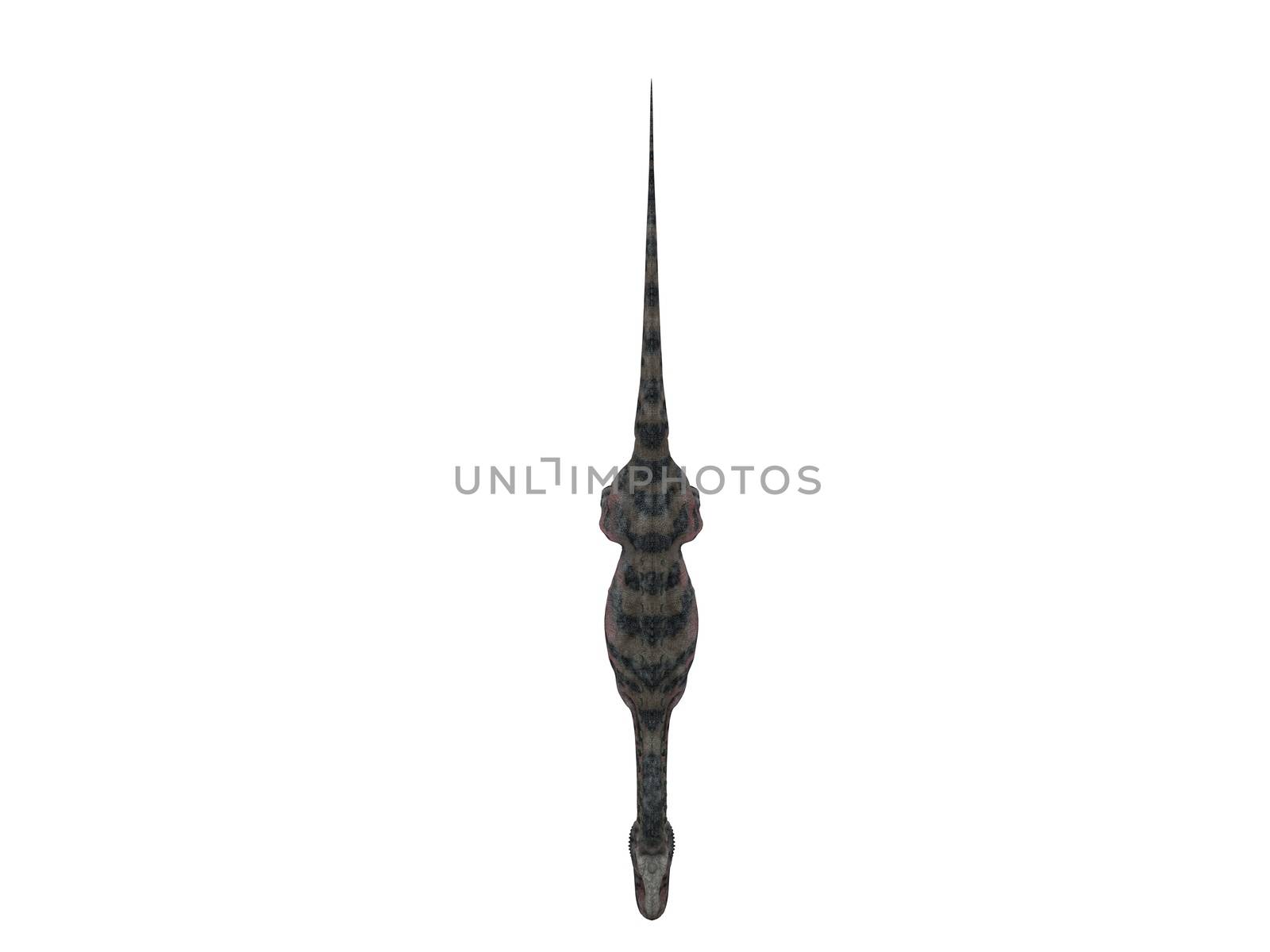 3d render depicting a dinosaur, which lived during the Cretaceous period, isolated on white.