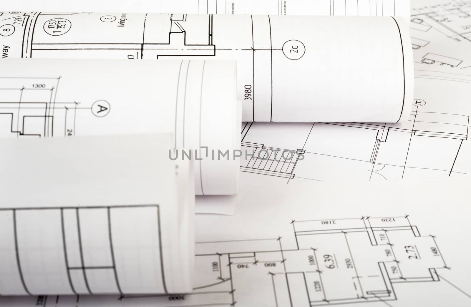 Architecture plan and rolls of blueprints closeup. Building concept