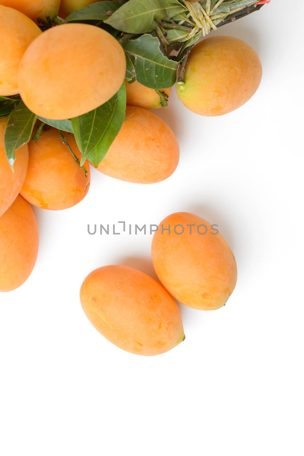 yellow marian plum fruit