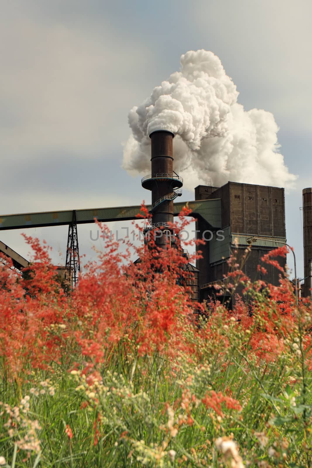 Steel mill smelter emitting toxic fumes and air pollutants billowing up and out of one of its many tall chimneys.  Pollutants can vary and include hydrogen fluoride, sulfur dioxide, oxides of nitrogen, offensive and noxious smoke fumes, vapors, gases, and other toxins. A variety of heavy metals: lead, arsenic, chromium, cadmium, nickel, copper, and zinc are also released by the facilities.