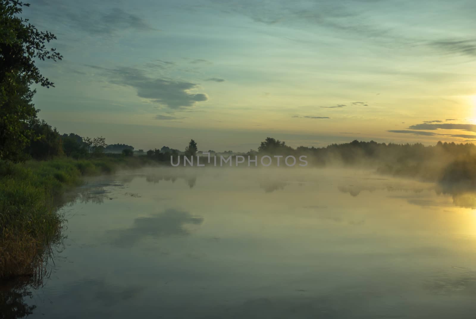 landscape with natural foggy river, nature series