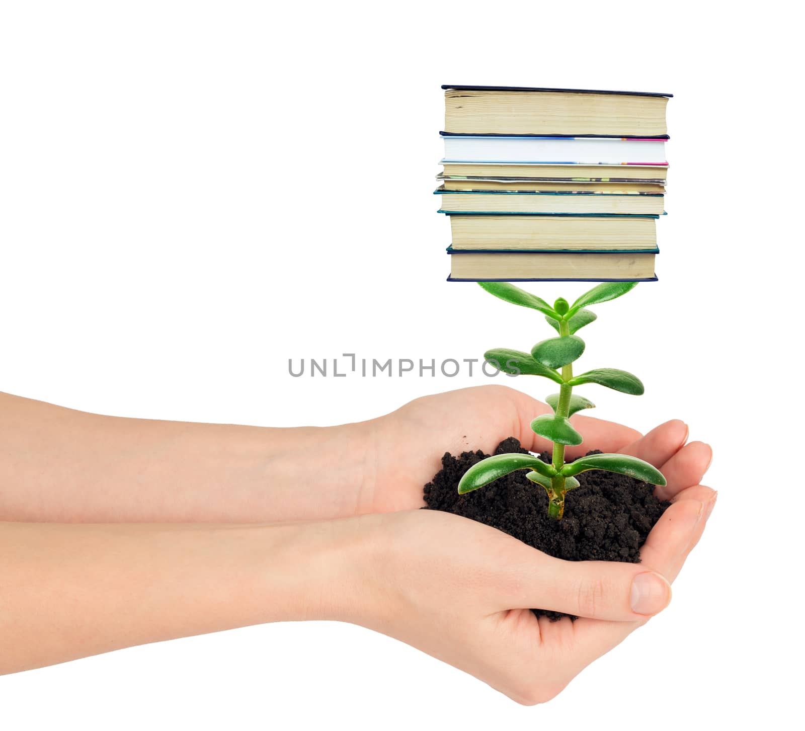 Hands holding plant with books isolated on white background, ecology concept