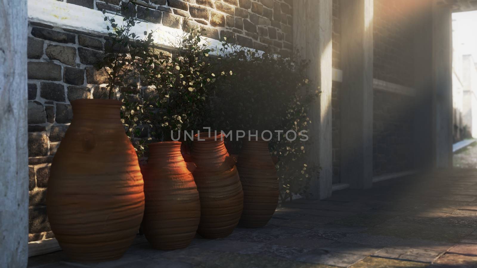 Ancient street with shadows, pitchers and plant