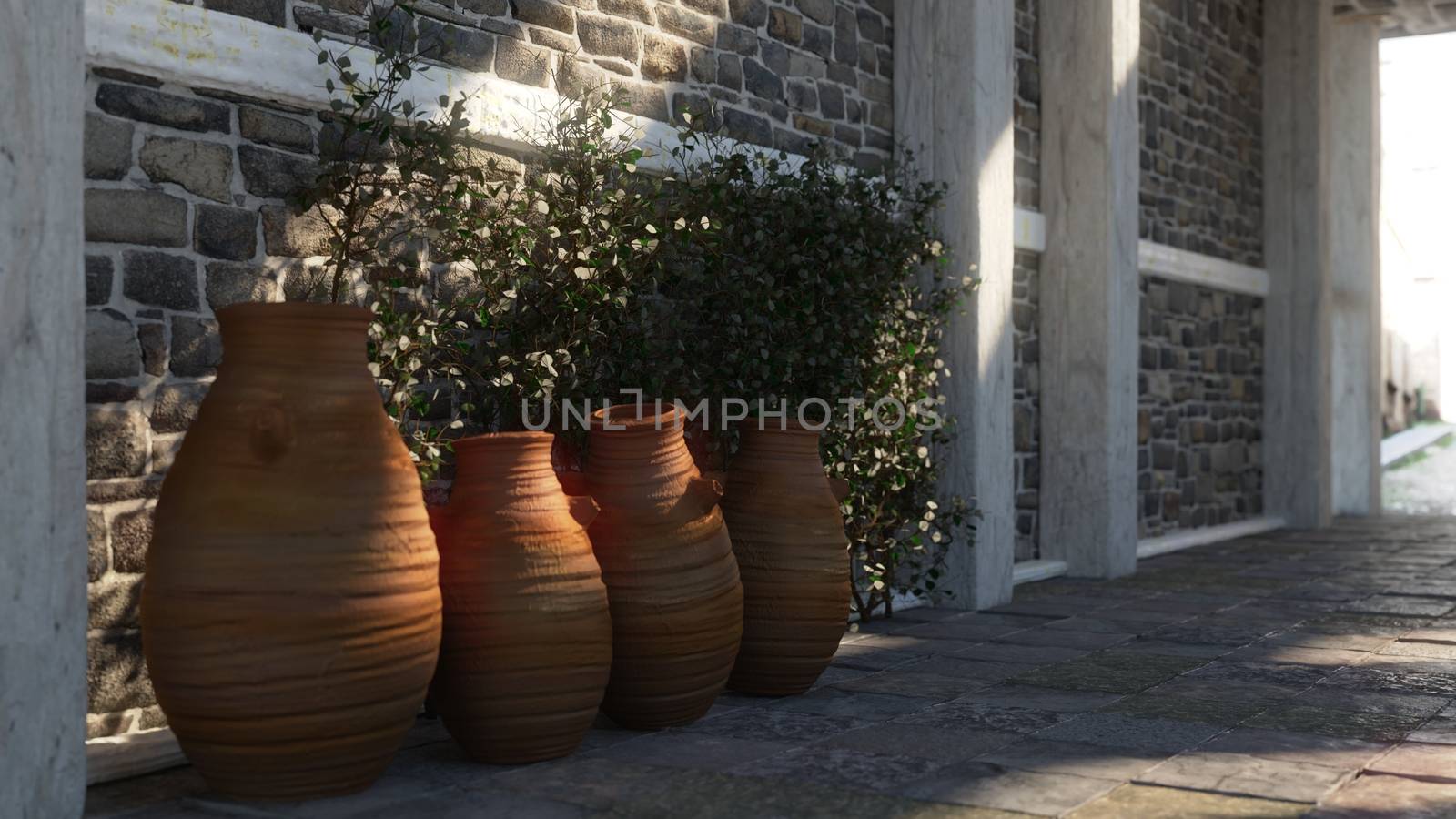 Ancient street with shadows, pitchers and plant