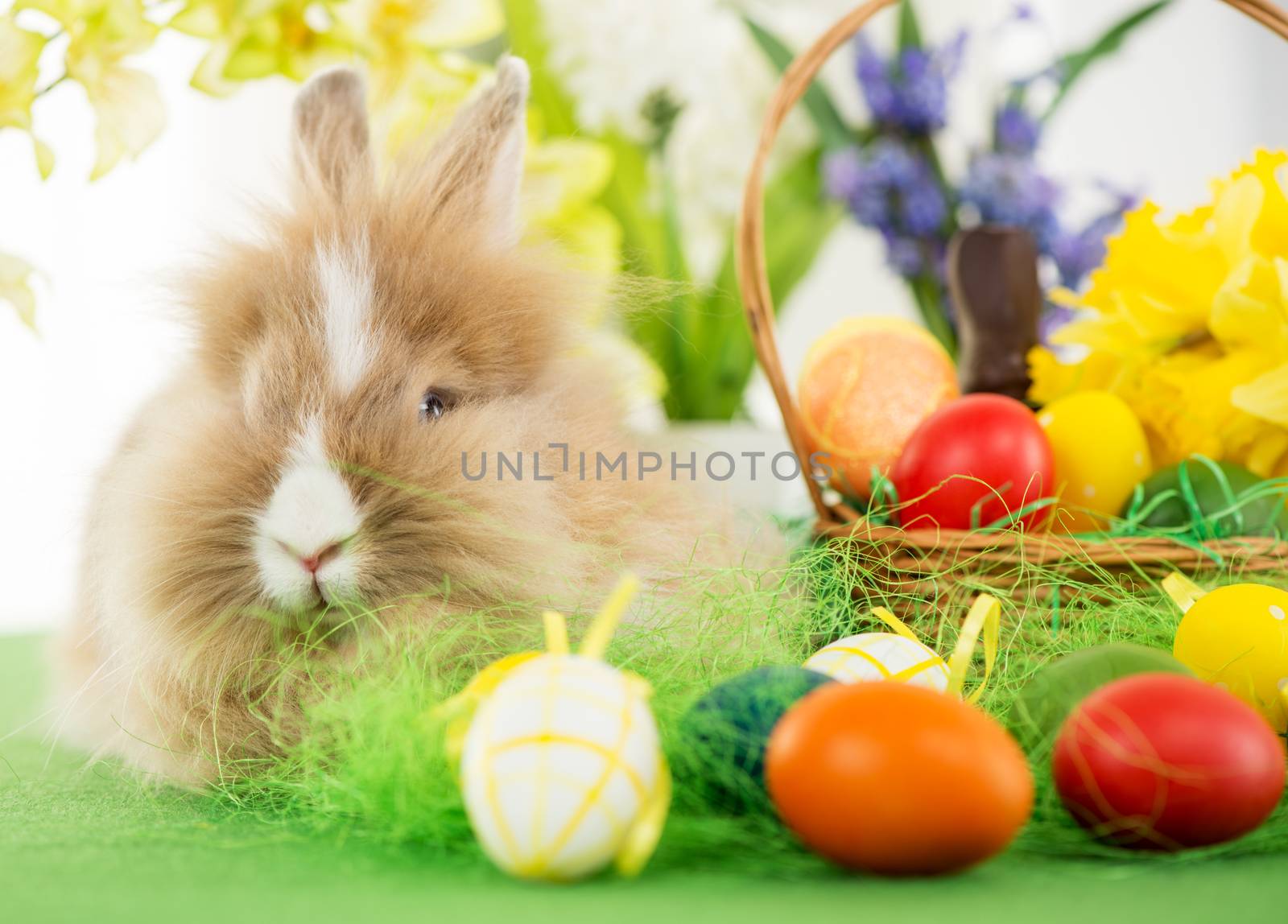 Easter Bunny with eggs in basket and flower. Selective focus. Focus on rabbit.