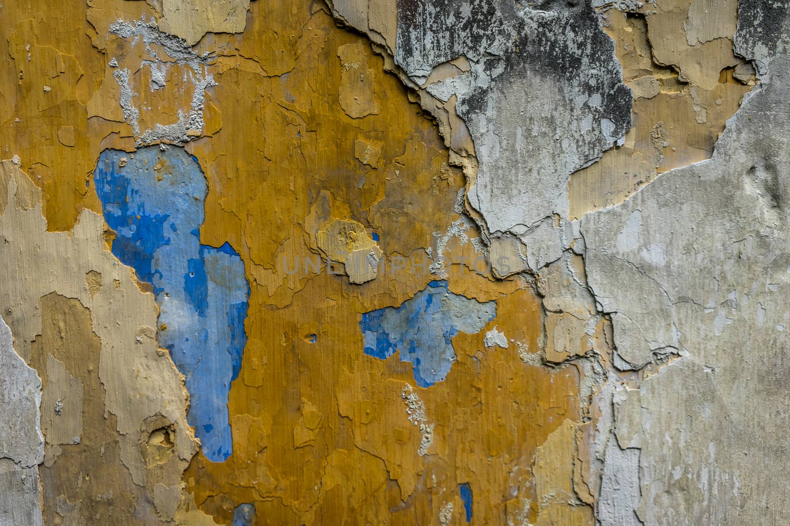 A shot of colorful texture of a wall.