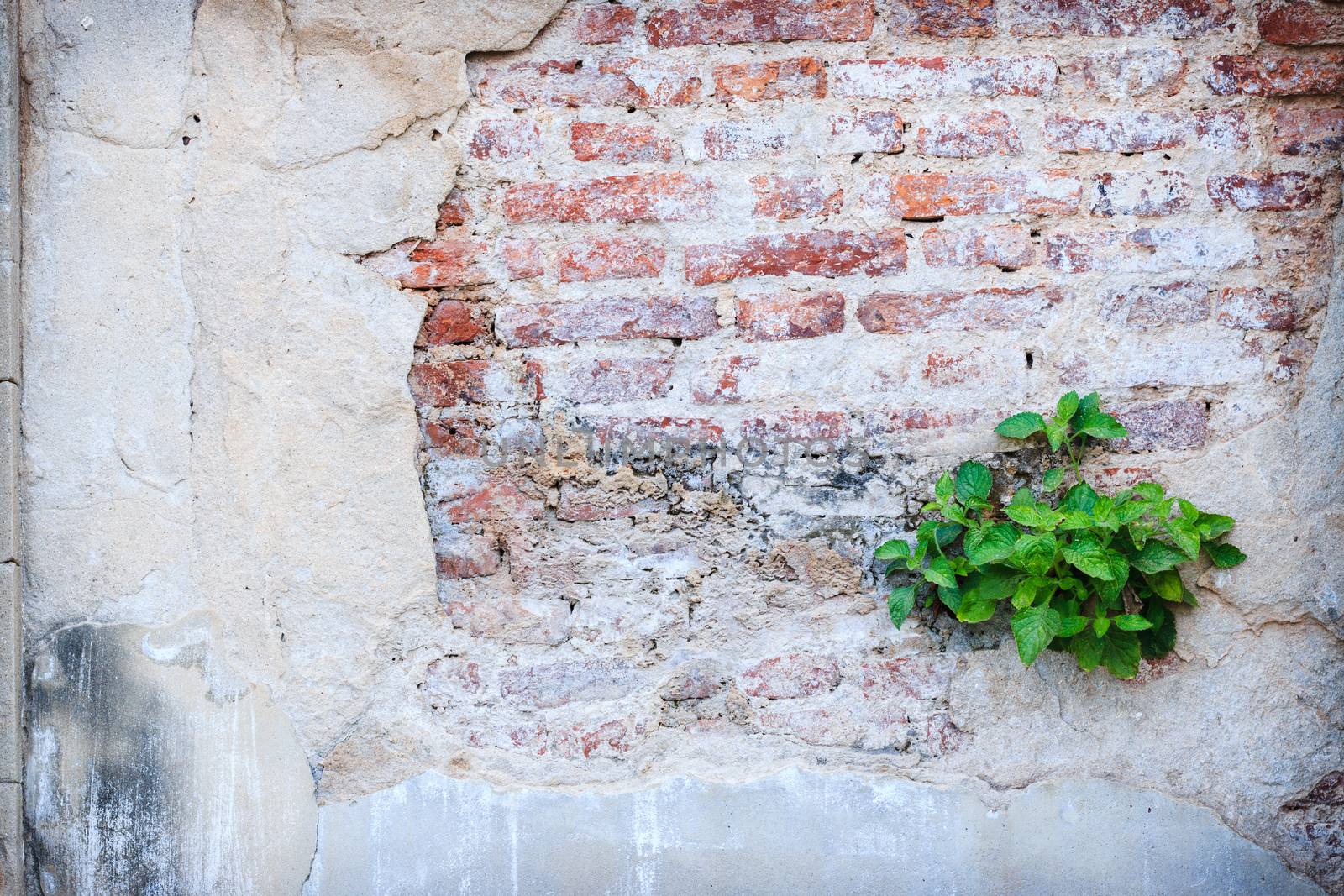 urban brick wall texture grunge background