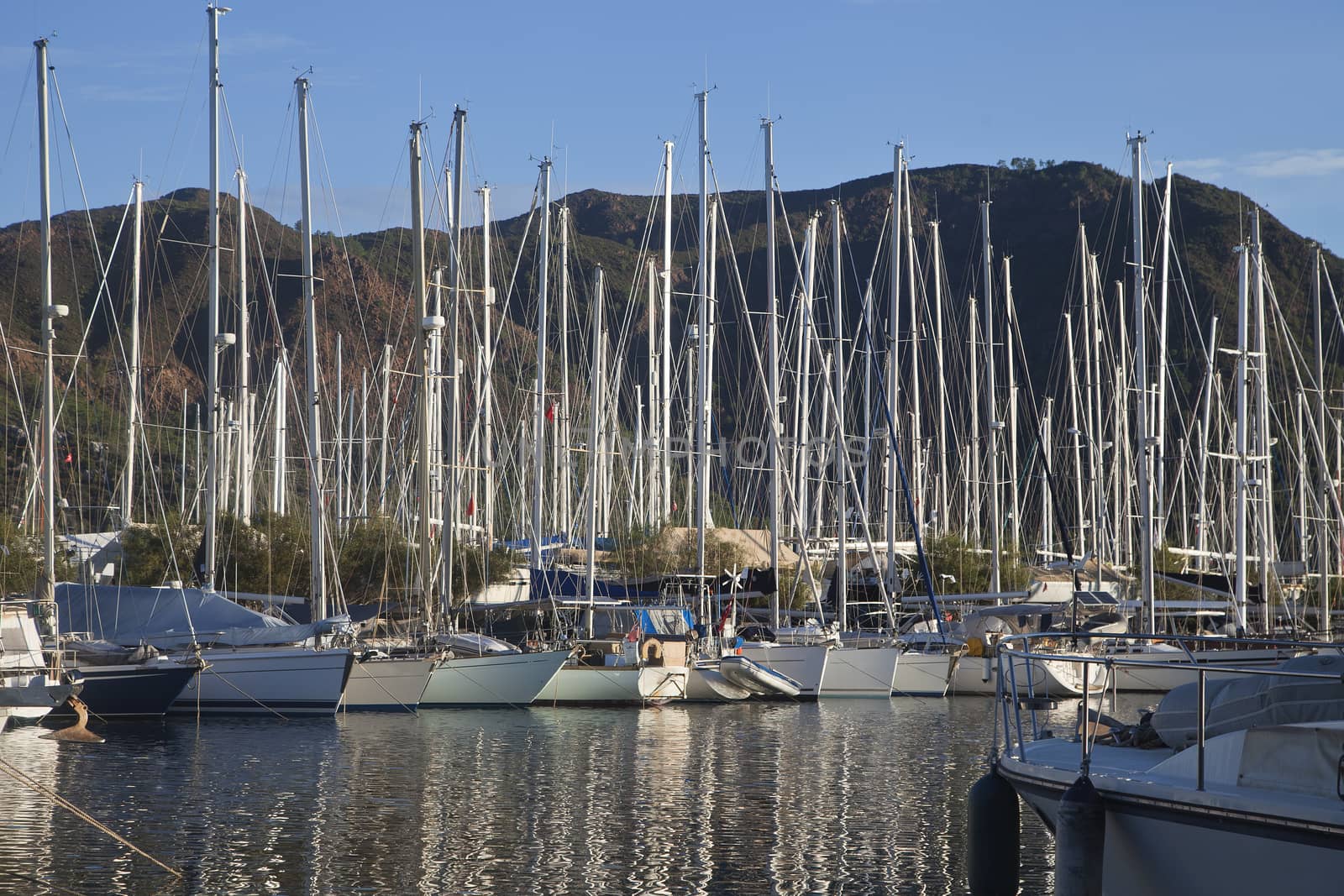 Small yachts in a harbour on a sunny day