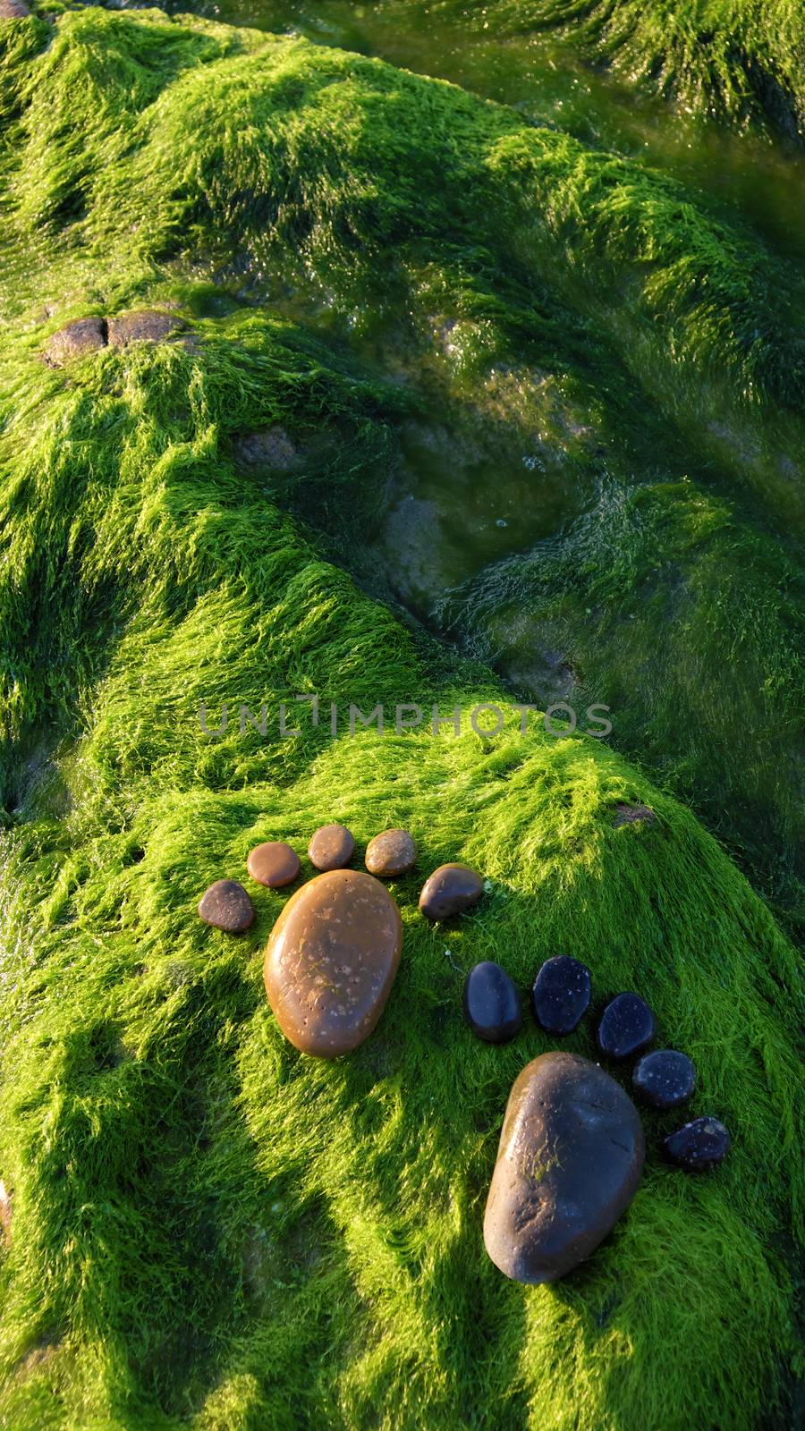 foot, pebble, seaweed, art, seaside by xuanhuongho