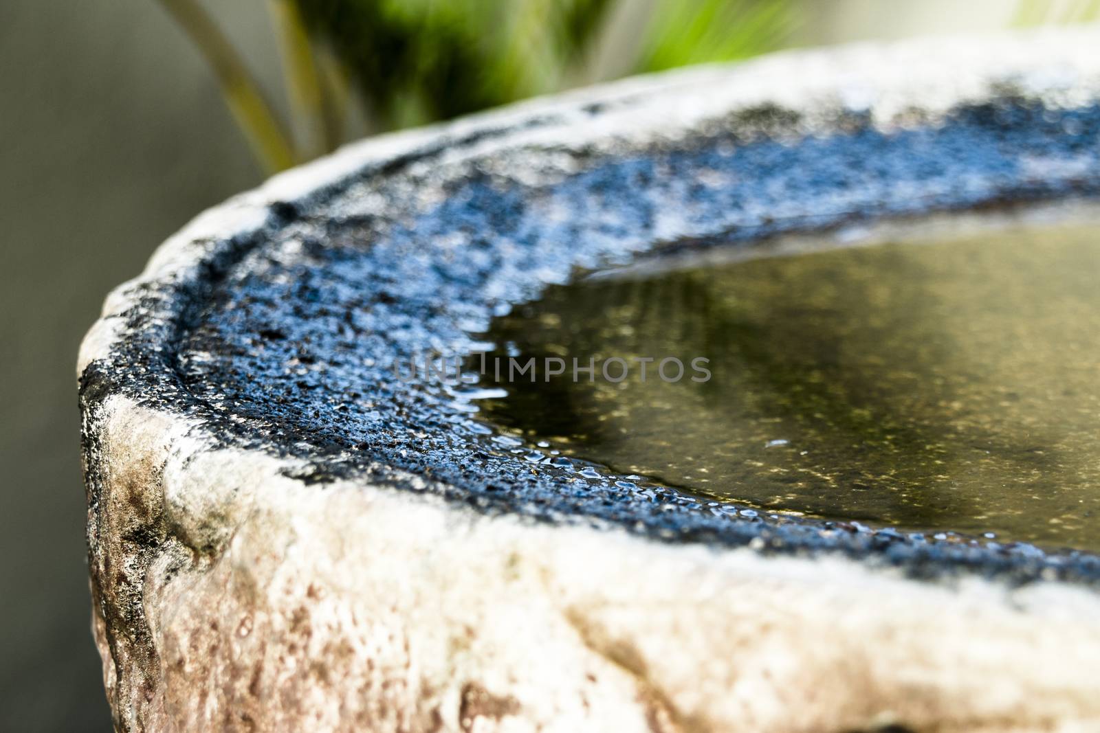 a close up of the side of a dirty bird bath with clear water in it