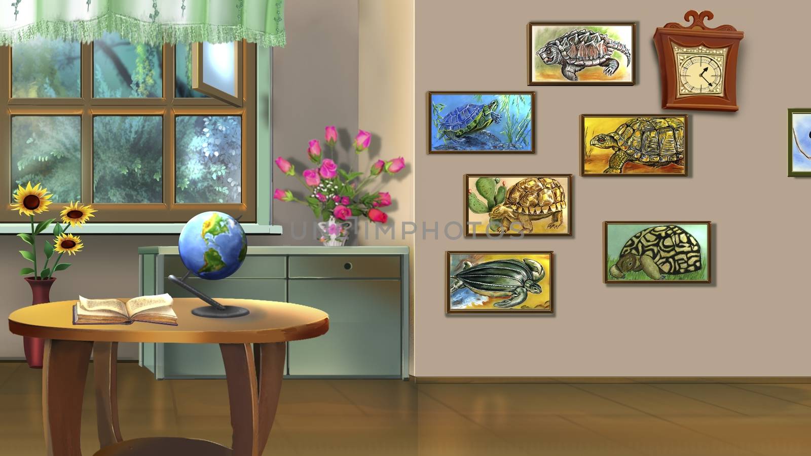 Room Interior with Turtle Pictures by Multipedia