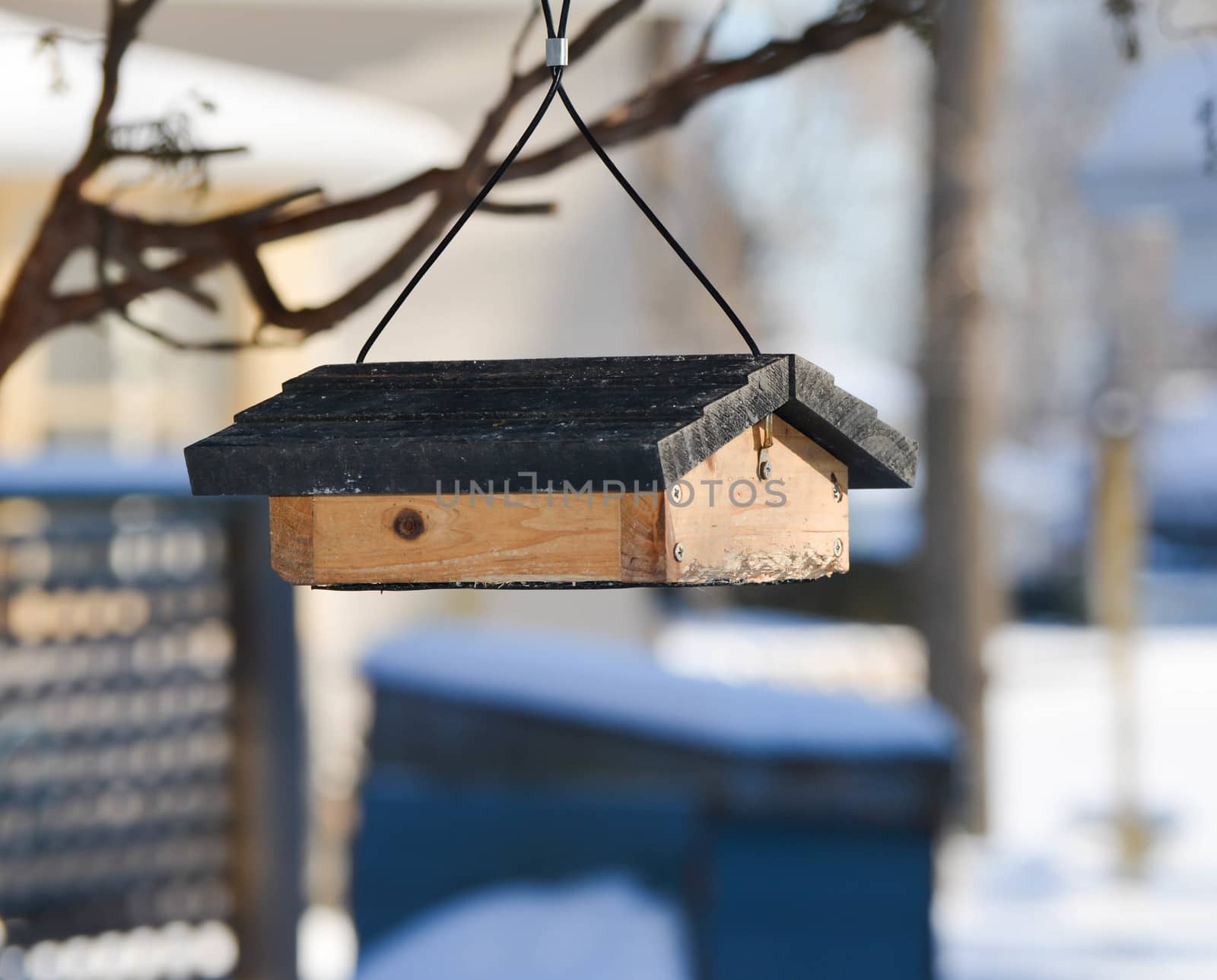 Birdfeeder Hangs From a Branch by mark_miller