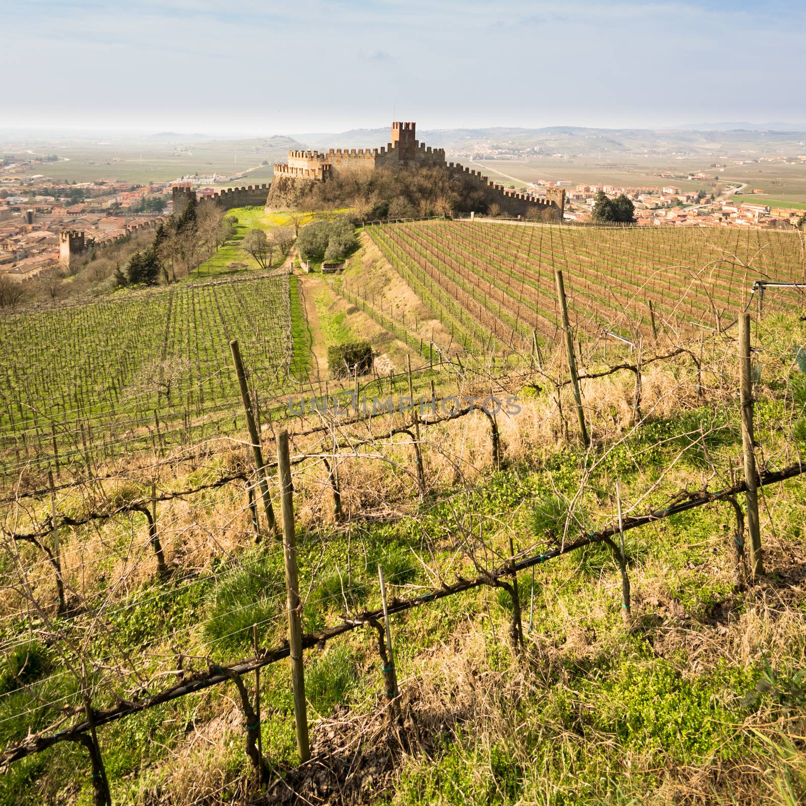 View of Soave (Italy) and its famous medieval castle. by Isaac74